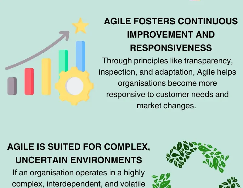 Why should an organization adopt an agile way of working